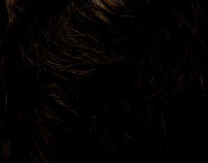 Medium Ash Brown 10B