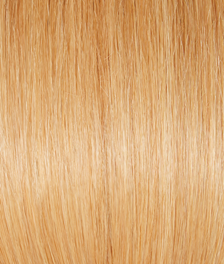 Light Golden Blonde R9HH
