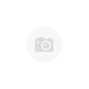 Iconic by Natural Image (Average)